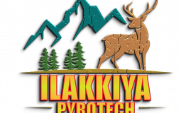 Sivakasi Crackers Wholesale Online Shopping 2025