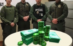 PRRPG Tournament Legal Mons