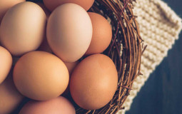 Eggy