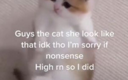 fav albums of the year