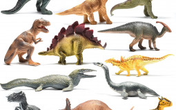 Dinosaures