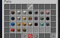 Hypixel Skyblock Pets