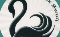 GDCP Les personnages elfes