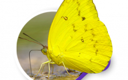 arkadaşlık seviyesi