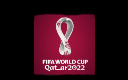 World Cup 2022 Performance