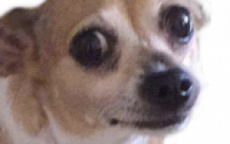 ♡