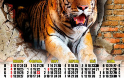 как лучше меня выгнать из комнты