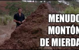 Youtubers