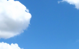 toronto school's men