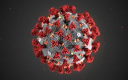 Epidemics