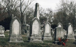 natalias favorite movies