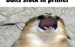 CarnageGame's Rank 25 Tierlist