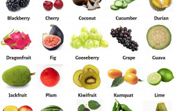 fruit