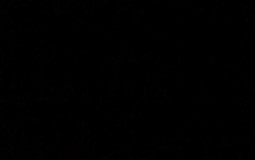 Flower Moon Festival