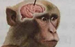 Covered in oil twerk off