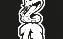 7S