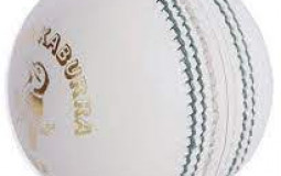 Australian Domestic Spinners