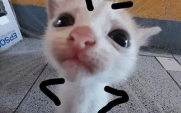 youtube rewind reveiw