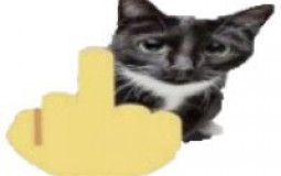 Destiny 2 Raids While High