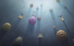 All devil fruits ranked