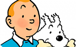 Albums de Tintin