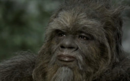 Lunch Menu Of the Week