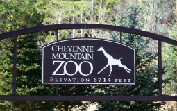 Animals at the Cheyenne Mountain Zoo