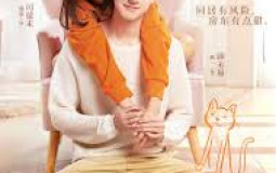 Put Your head on my shoulder