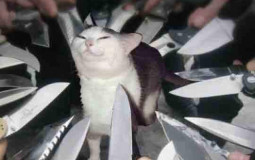 MEL: RANKING THE ZODIAC SIGNS