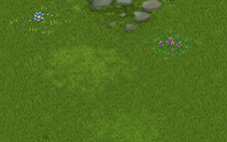 Amber Island Monsters