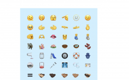 senoir citizens tier list