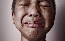 green falcon minecraft survival series