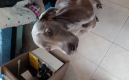 Matias
