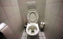 Destruction des latrines