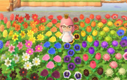 animal crossing flowers