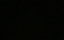 Roco weapon tier list