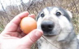 Редкость
