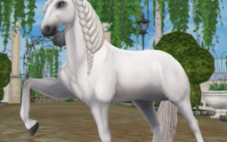 Horse Breeds