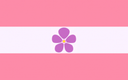 Ranking wlw and nblw couples in media