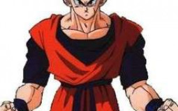 Perssonage dbz gentil