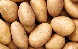 Potato Tier List