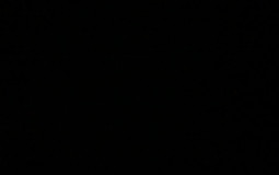 stranger things ships