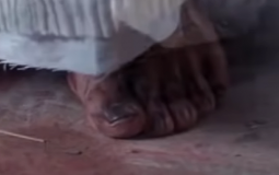 Michelles musty crushes