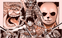 Les personnages de One piece par force