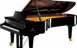 Instruments de musique