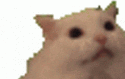 what would happen if they became the president of the united states