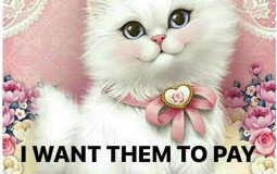 The Long Awaited Brook Based Tierlist