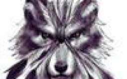 Kolby's TIKTOK tierlist 2