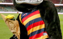 AFL Mascots