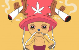 One piece Devil Fruit Tier List